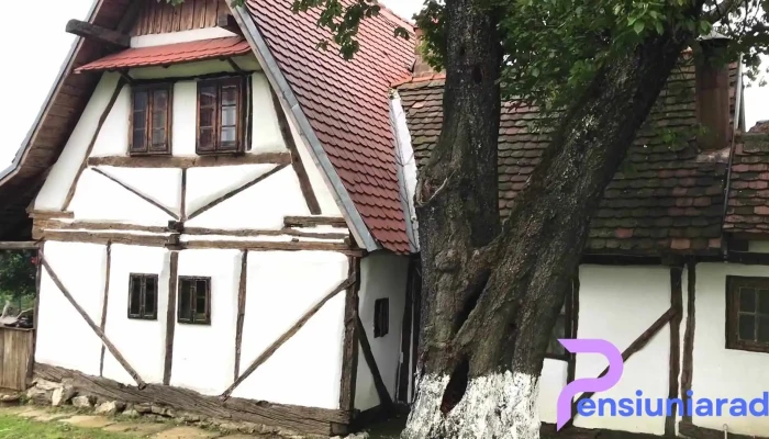Traditional Casa Experience Srl -  Exterior - Roșia