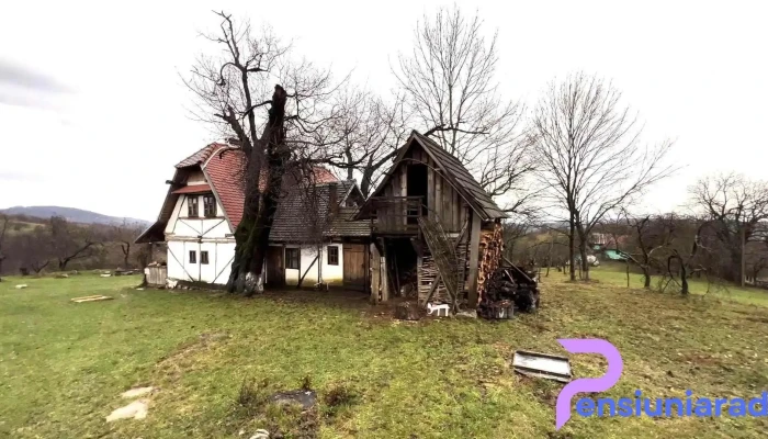 Traditional Casa Experience Srl -  Videoclipuri - Roșia