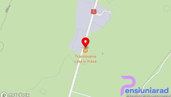 hartă a Transilvania casă și masă Restaurant, Stație de încărcare pentru vehicule electrice în DN1 105 Str T. Vladimirescu fn