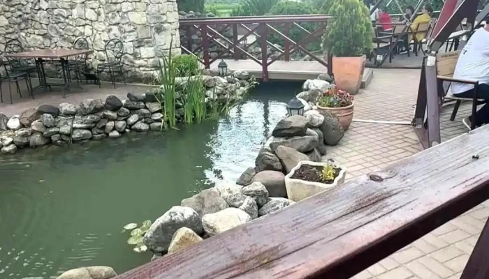 Transilvania Casa Si Masa Videoclipuri - Dn1 105 Str T. Vladimirescu Fn