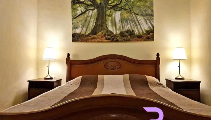 Transylvania Hostel - Cluj-Napoca