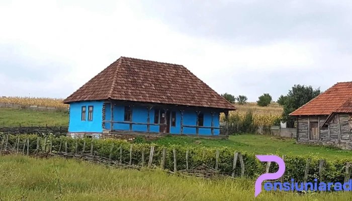 Turț - Turț