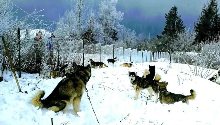 Tusnadu Nou Munte - Tușnadu Nou