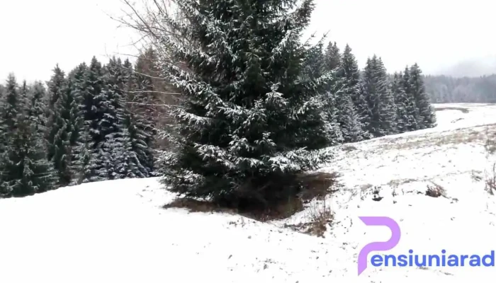 Tusnadu Nou Videoclipuri - Tușnadu Nou