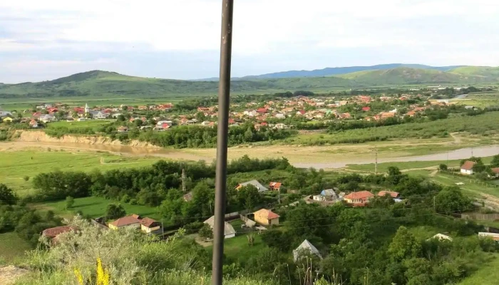 Tuta -  Cum Să Ajungi Acolo - Tuta