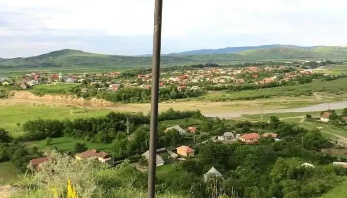 Tuta - Tuta