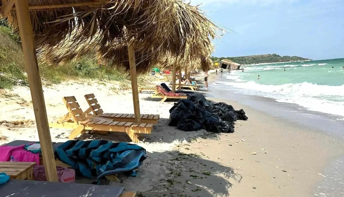Tuzla Open Beach -  Program - Plaja