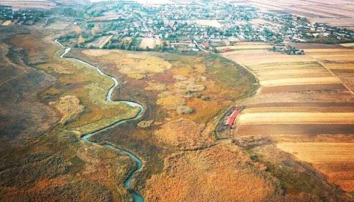 Urziceanca - Urziceanca
