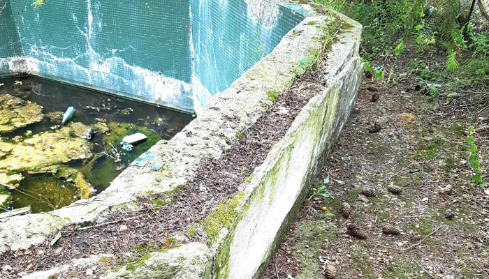 Valdor Srl Reduceri - Slănic