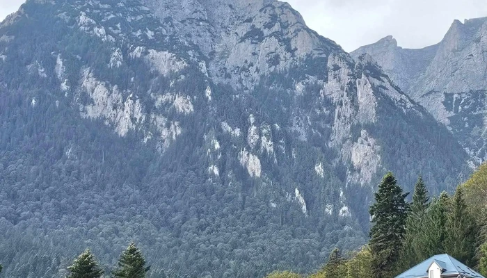 Valea Alba Adresă - Bușteni