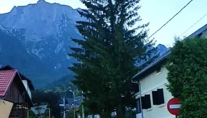 Valea Alba Exterior - Bușteni