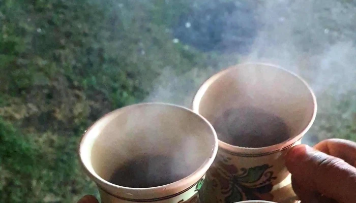 Valea Cu Brazi -  Adresă - Dâmbovicioara