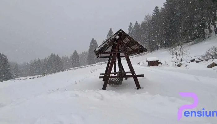 Valea Cu Brazi -  De La Vizitatori - Dâmbovicioara