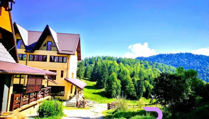 Valea Cu Brazi -  Exterior - Dâmbovicioara