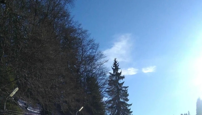 Valea Cu Brazi -  Locație - Dâmbovicioara