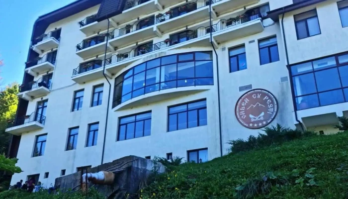Valea Cu Pesti De La Vizitatori - Transfăgărășan