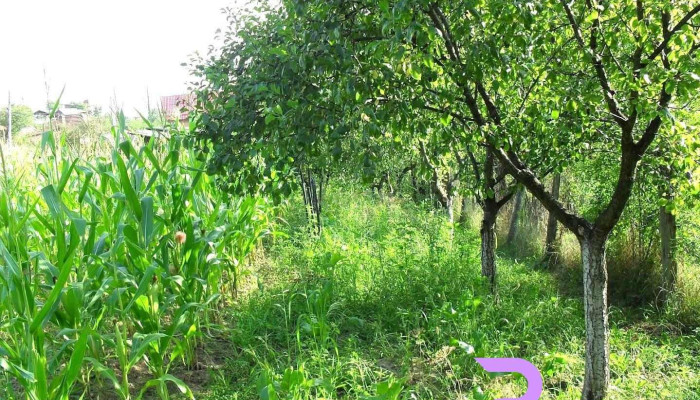 Valea Danului - Valea Danului