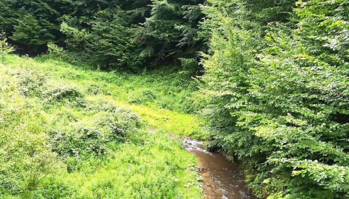 Valea Mare -  Număr - Valea Mare
