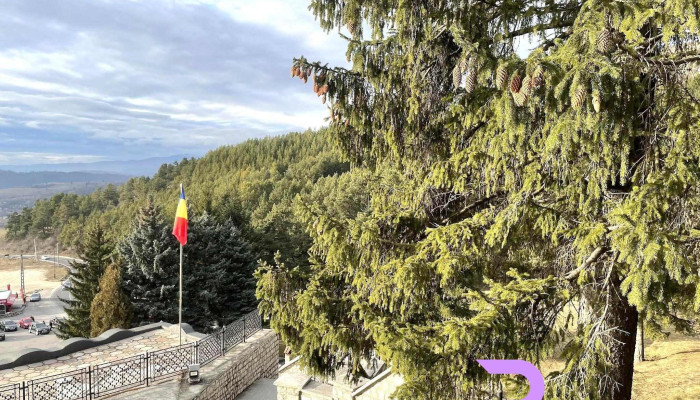 Valea Mare Pravat Promoție - Dn72a