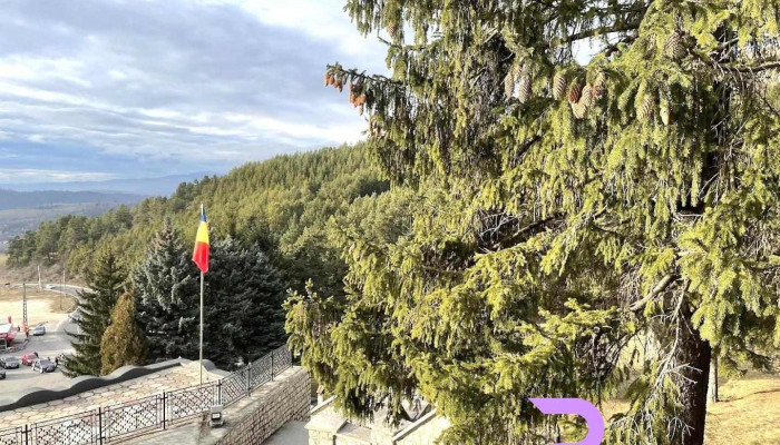 Valea Mare Pravăț - Dn72A