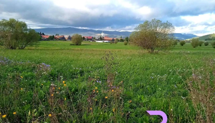 Valea Stramba Site Web - Valea Strâmbă
