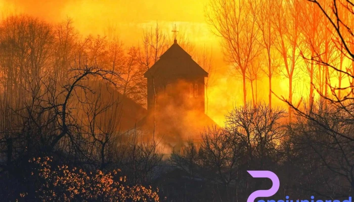 Varbila Aproape De Mine - Vărbila