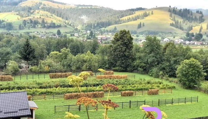 Vatra Moldovitei Munte - Vatra Moldoviței