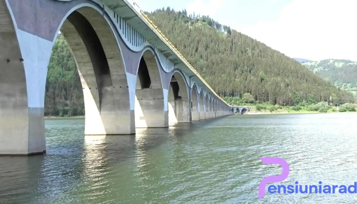 Viaduct Poiana Teiului -  Munte - Poiana Teiului