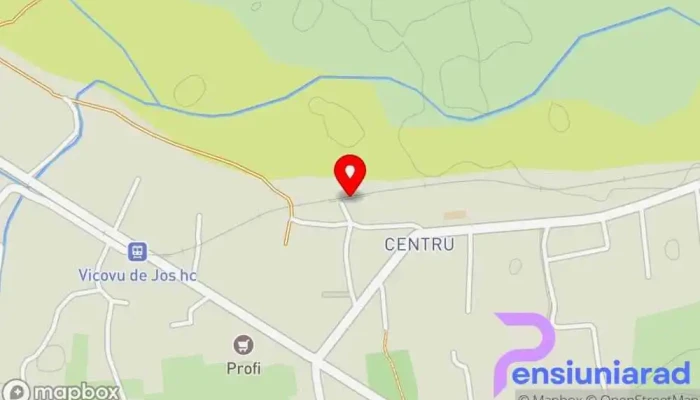 hartă a VICOVU DE JOS Gară în Vicovu de Jos