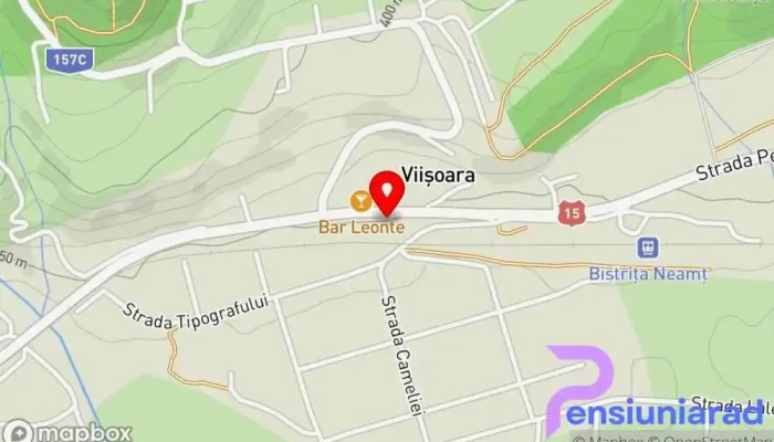 hartă a Viișoara  în Viișoara