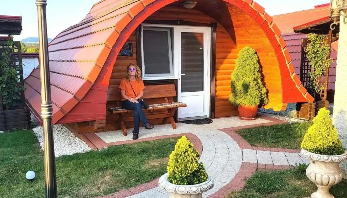 Vila Adr -  Exterior - Petrești