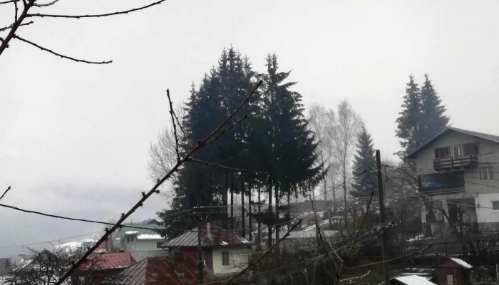 Vila Adriana -  Zonă - Bușteni