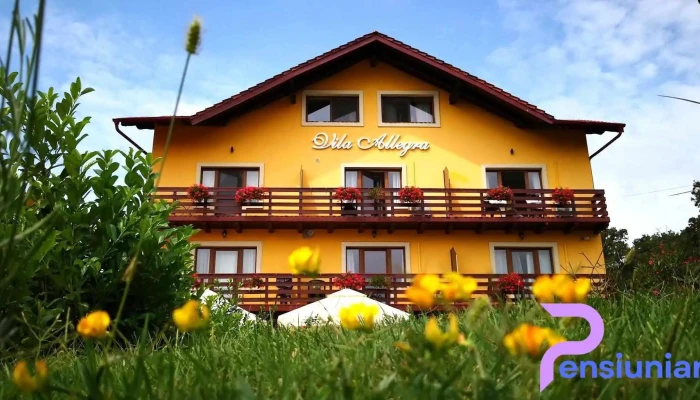Vila Allegra -  De La Vizitatori - Cordău