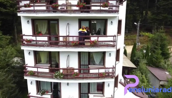Vila Alunis De La Vizitatori - Bușteni