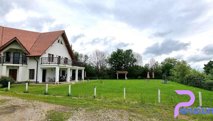 Vila Budeasa -  De La Vizitatori - Budeasa