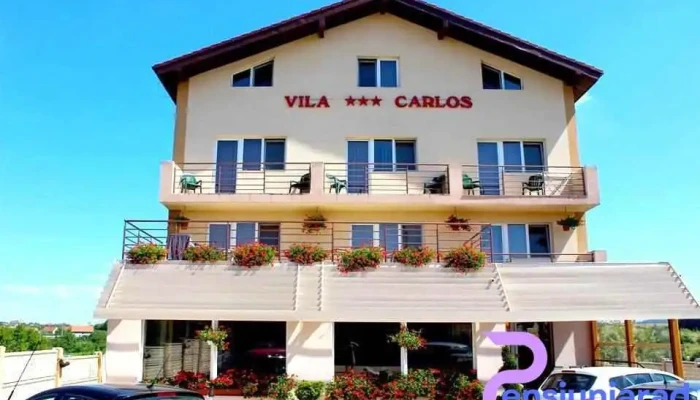 Vila Carlos -  De La Proprietar - Sânmartin