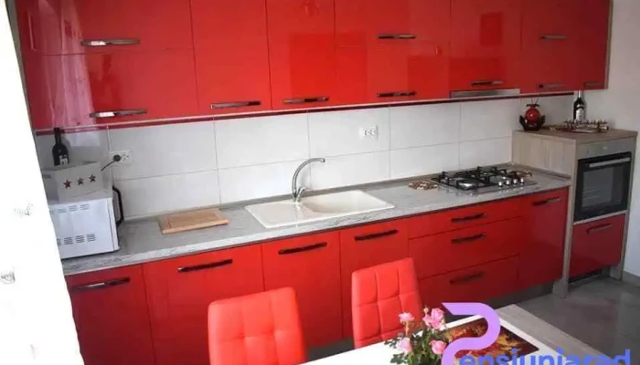 Vila Dumitru -  Bucatarie - Cerașu