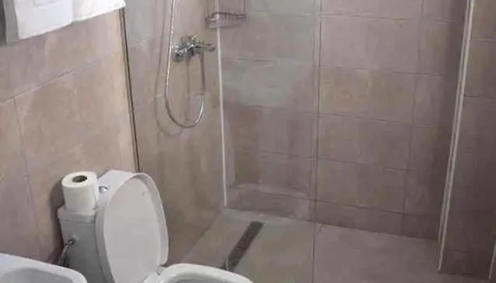 Vila Dumitru -  Camere - Cerașu