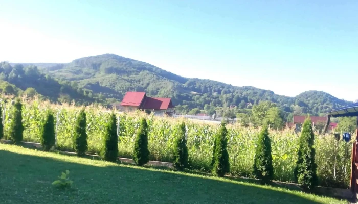 Vila Dumitru -  Cerașu - Cerașu