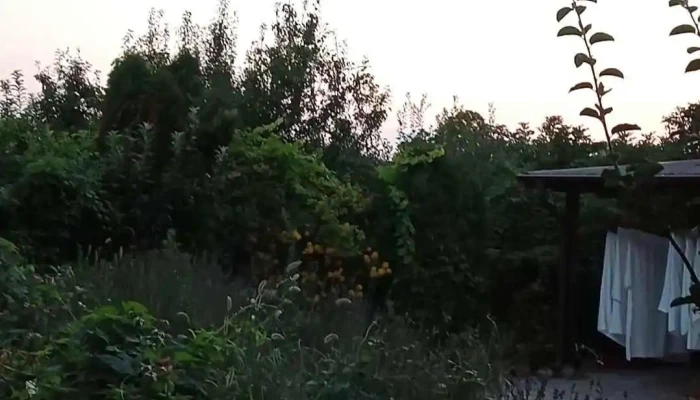 Vila Giulia -  Videoclipuri - Islaz
