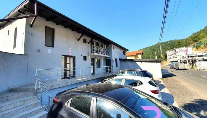 Vila Hercules -  De La Vizitatori - Dubova