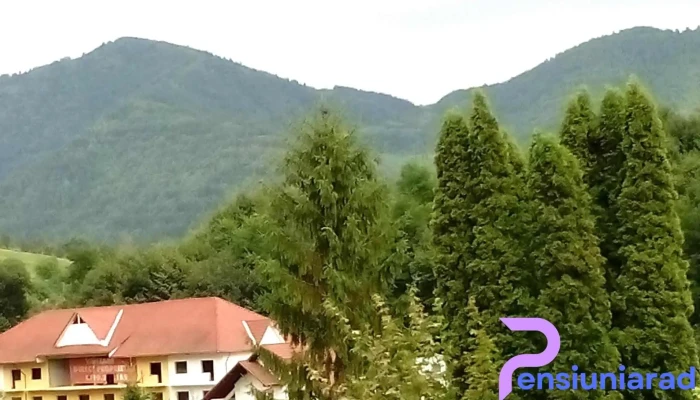 Vila Luminita Exterior - Sângeorz-băi