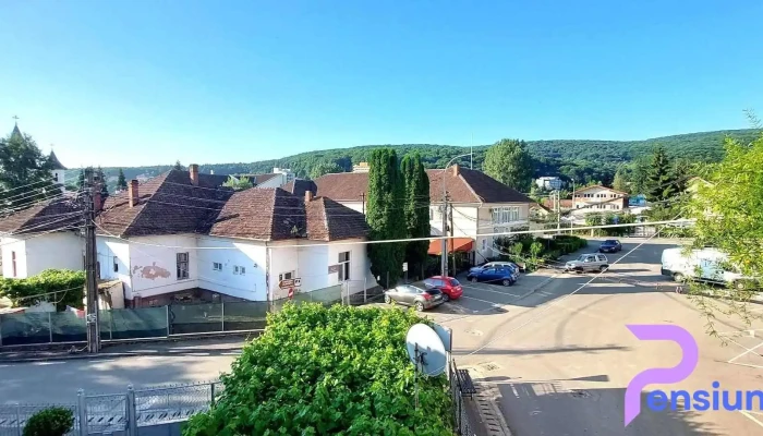 Vila Mihu -  De La Vizitatori - Geoagiu-băi