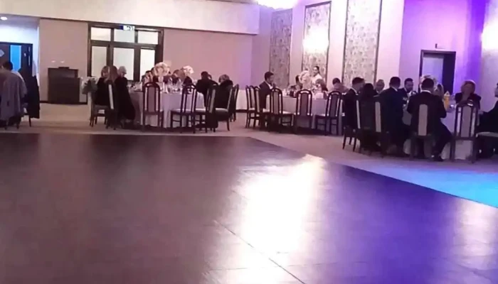 Vila Palace -  Videoclipuri - Caransebeș