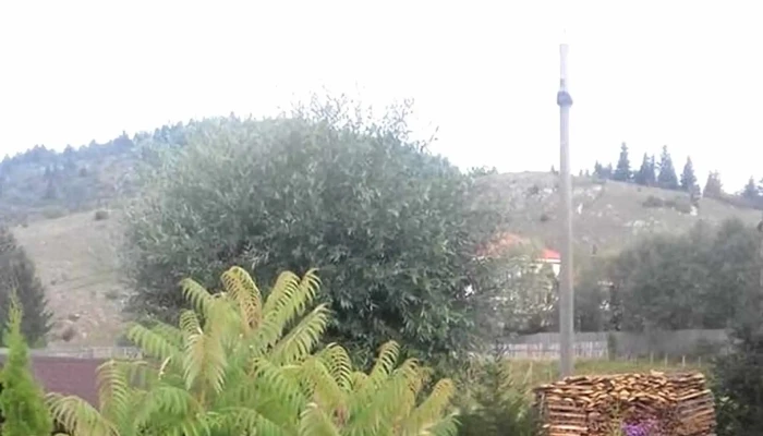 Vila Verona -  Adresă - Dâmbovicioara