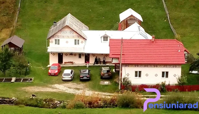 Viorica - Ciocănești 727120
