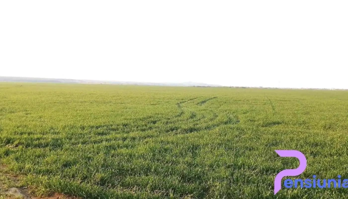 Vladeni Comentarii - Vlădeni