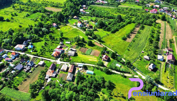 Vladesti Locație - Vlădești