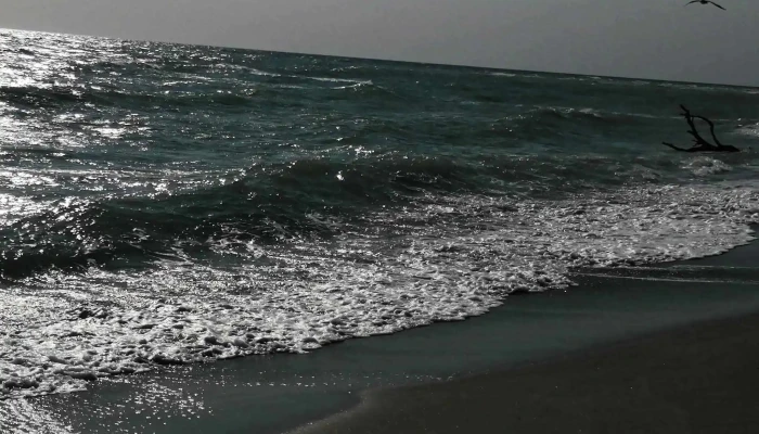 Wild Beach Tuzla La Avion Adresă - Tuzla