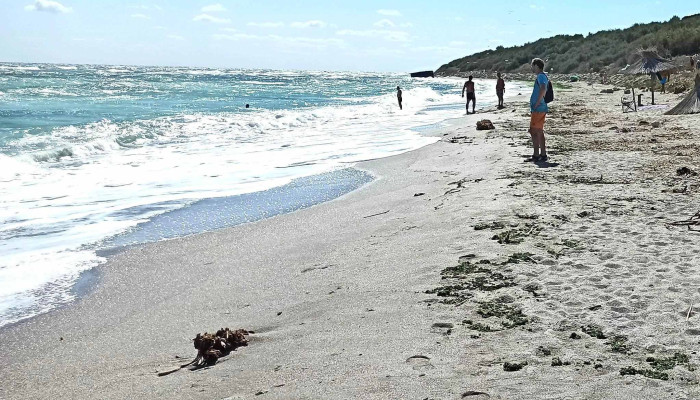 Wild Beach Tuzla La Avion Recenzii - Tuzla